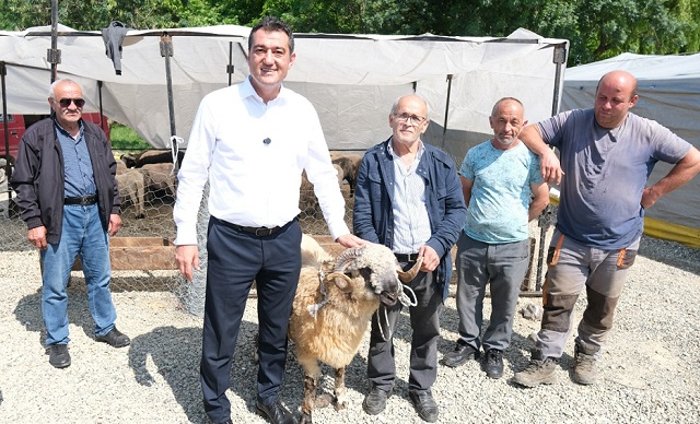 Hayvan Pazarına Ziyaret!